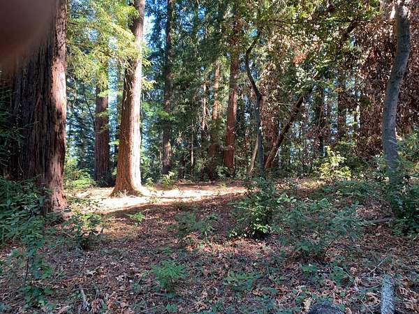 0.33 Acres of Residential Land for Sale in Los Gatos, California