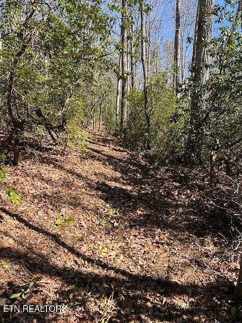 4 Acres of Residential Land for Sale in Monterey, Tennessee