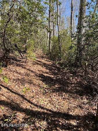 4 Acres of Residential Land for Sale in Monterey, Tennessee