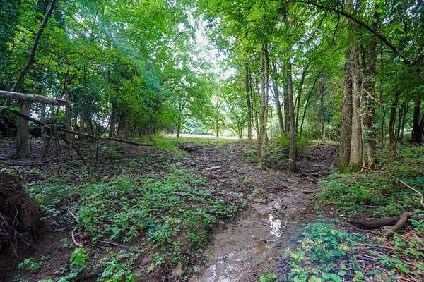 9.5 Acres of Land with Home for Sale in Hendersonville, Tennessee