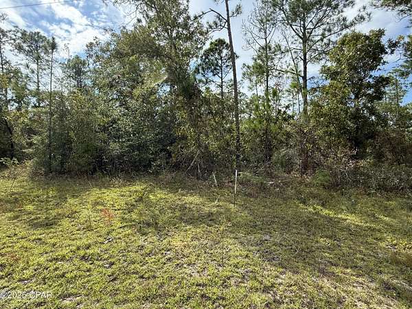 1.16 Acres of Residential Land for Sale in Alford, Florida
