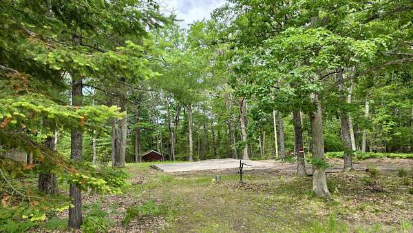 0.39 Acres of Land for Sale in Indian River, Michigan