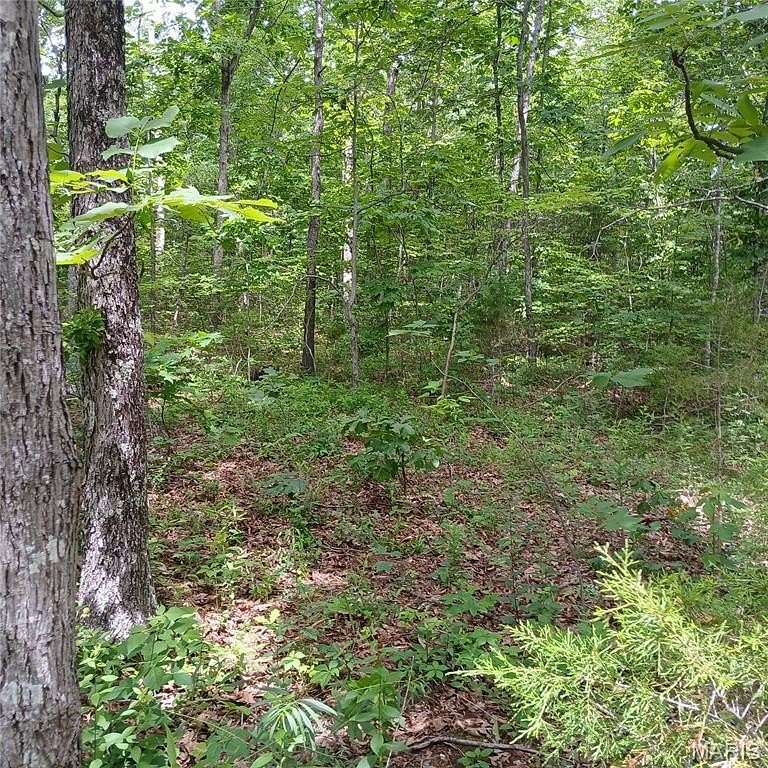 0.46 Acres of Land for Sale in Bismarck, Missouri