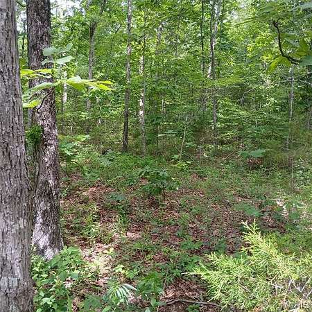 0.46 Acres of Land for Sale in Bismarck, Missouri