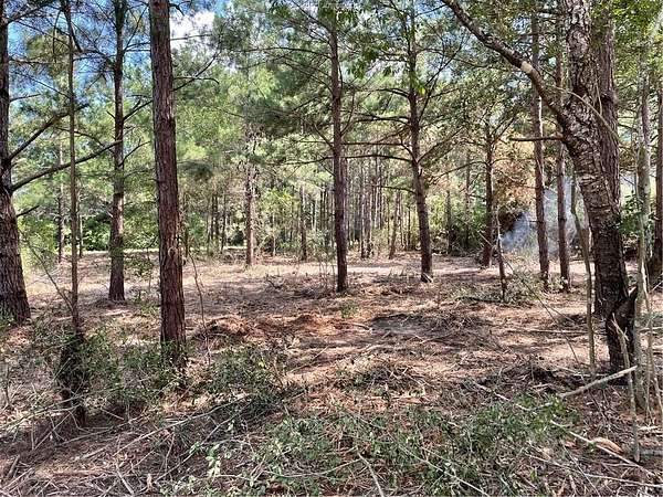 0.52 Acres of Residential Land for Sale in Hilltop Lakes, Texas