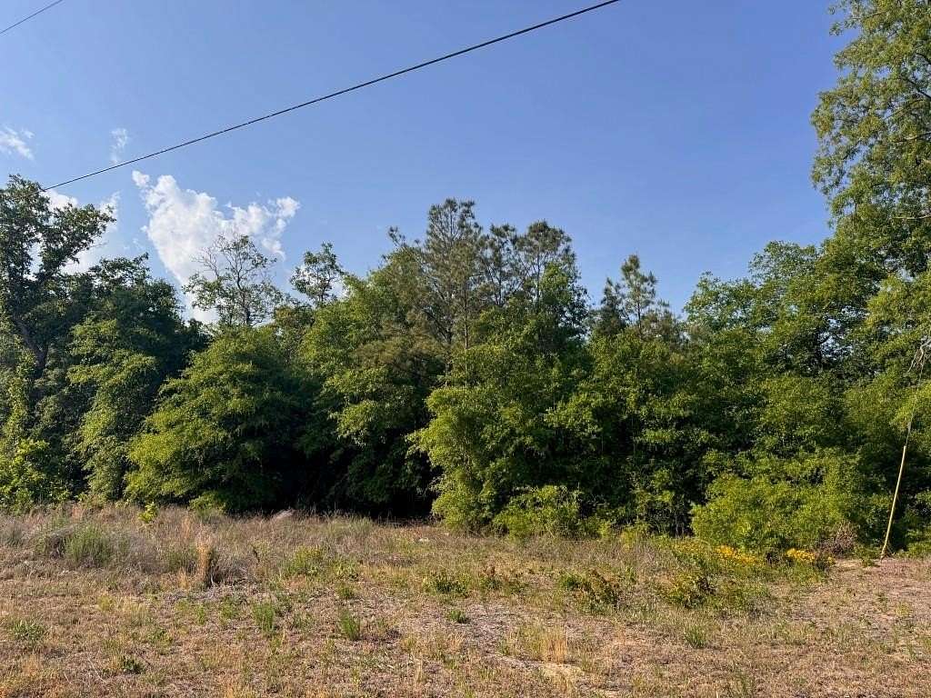 0.5 Acres of Commercial Land for Sale in Gresham, South Carolina