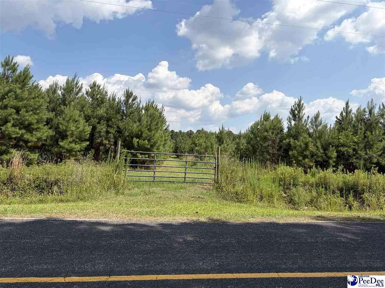 22.5 Acres of Land for Sale in Scranton, South Carolina