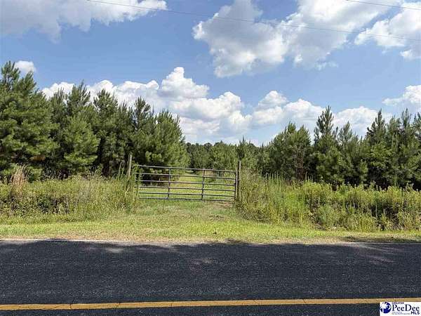 22.5 Acres of Land for Sale in Scranton, South Carolina