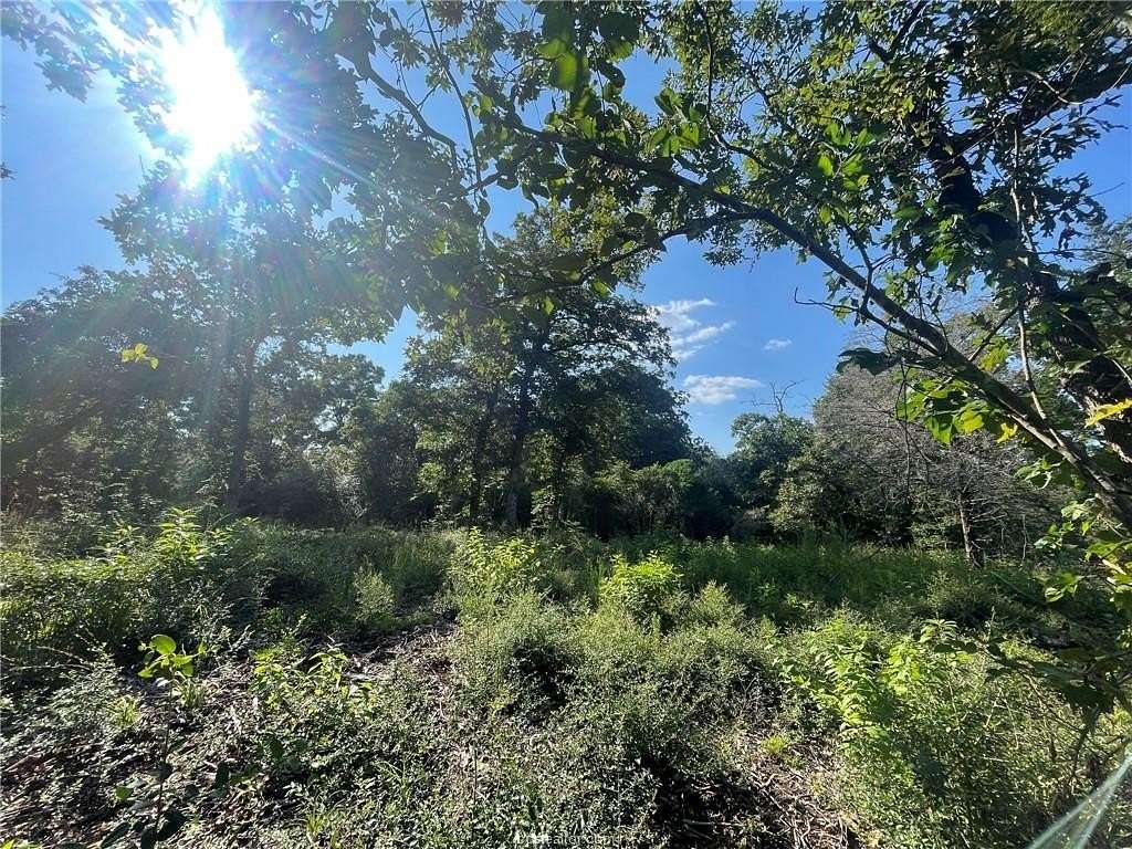 0.4 Acres of Residential Land for Sale in Hilltop Lakes, Texas
