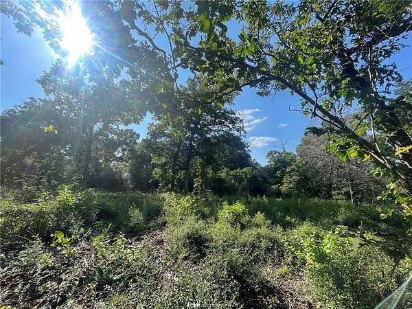 0.4 Acres of Residential Land for Sale in Hilltop Lakes, Texas