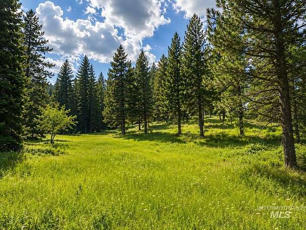 10.5 Acres of Land for Sale in Anatone, Washington