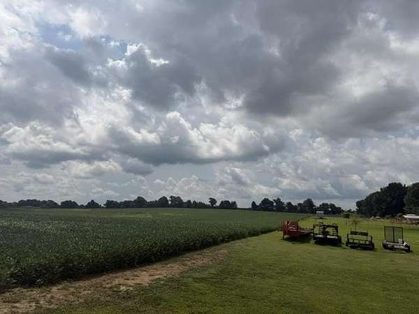 39 Acres of Land for Sale in Covington, Tennessee