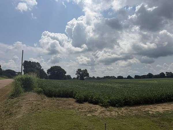 39 Acres of Land for Sale in Covington, Tennessee