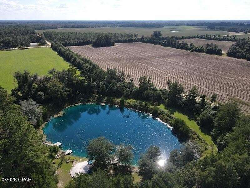 14.2 Acres of Recreational Land for Sale in Bascom, Florida