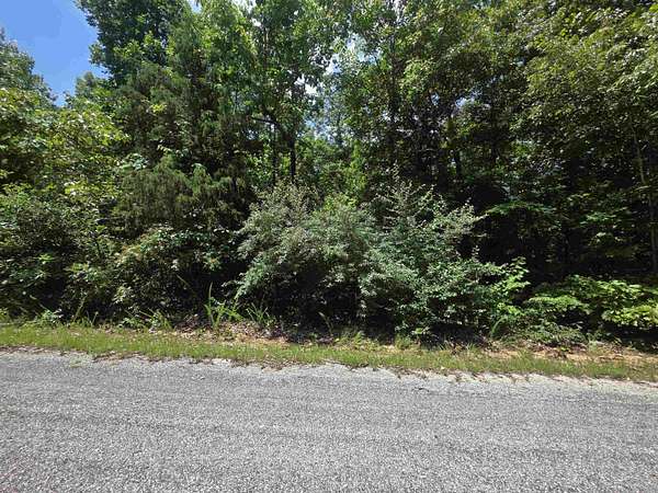 0.28 Acres of Residential Land for Sale in Horseshoe Bend, Arkansas