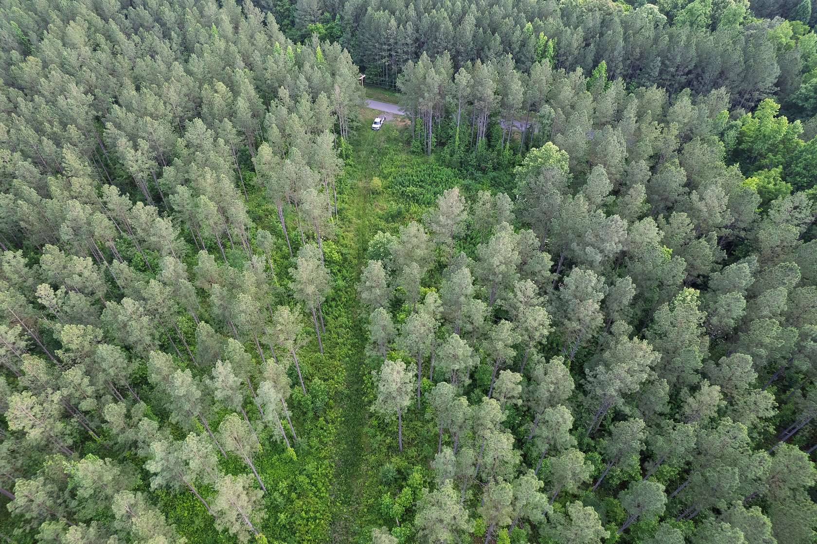 18 Acres of Recreational & Residential Land for Sale in Calhoun, Tennessee