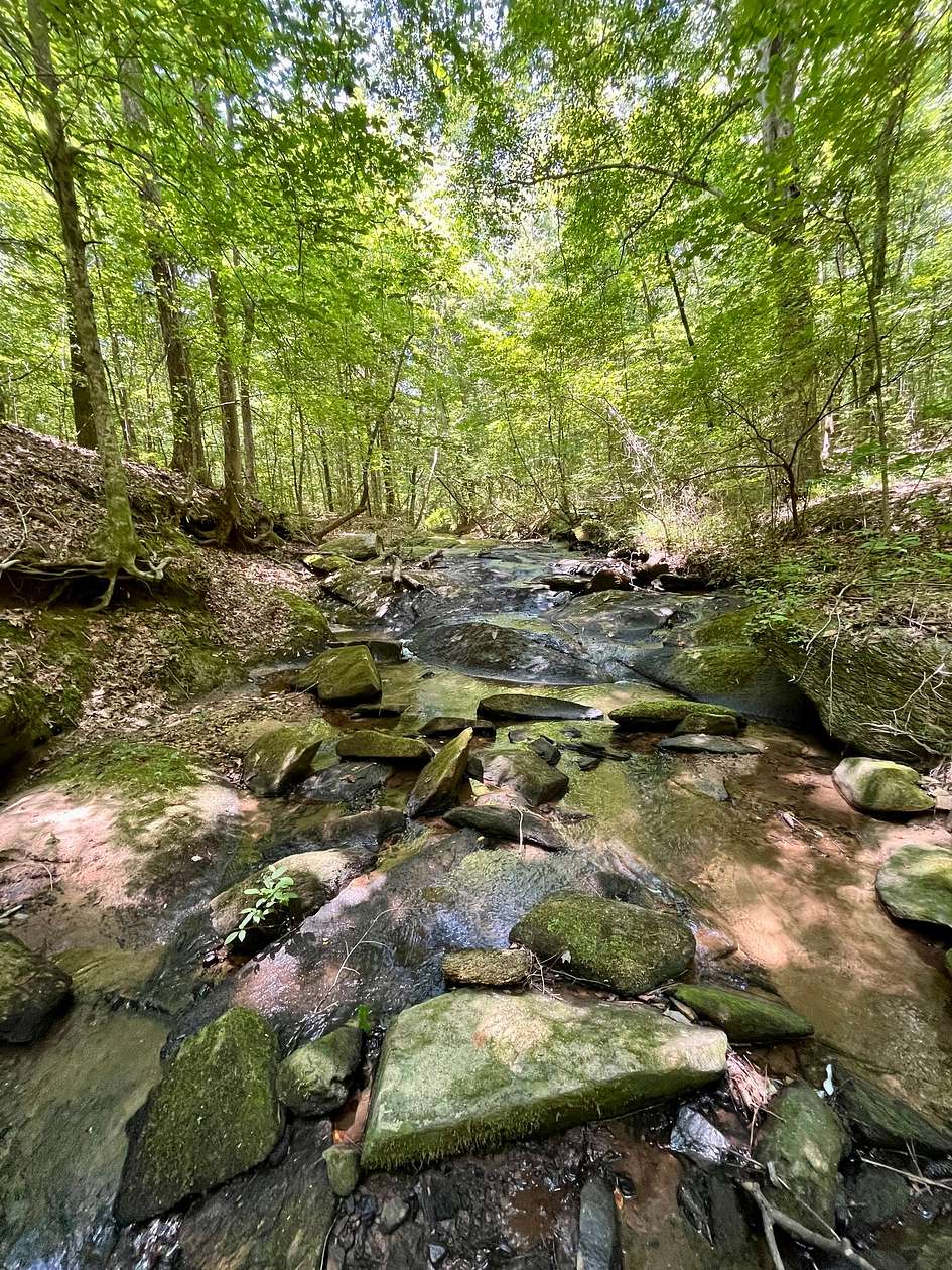 70 Acres of Recreational & Residential Land for Sale in Roanoke, Alabama