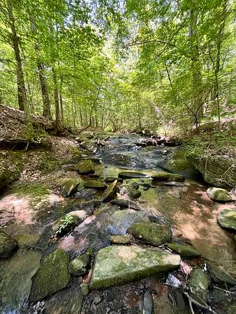 70 Acres of Recreational & Residential Land for Sale in Roanoke, Alabama