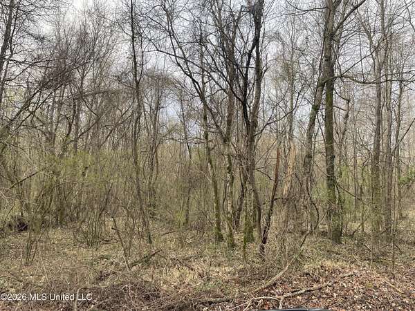 5.9 Acres of Land for Sale in Coldwater, Mississippi
