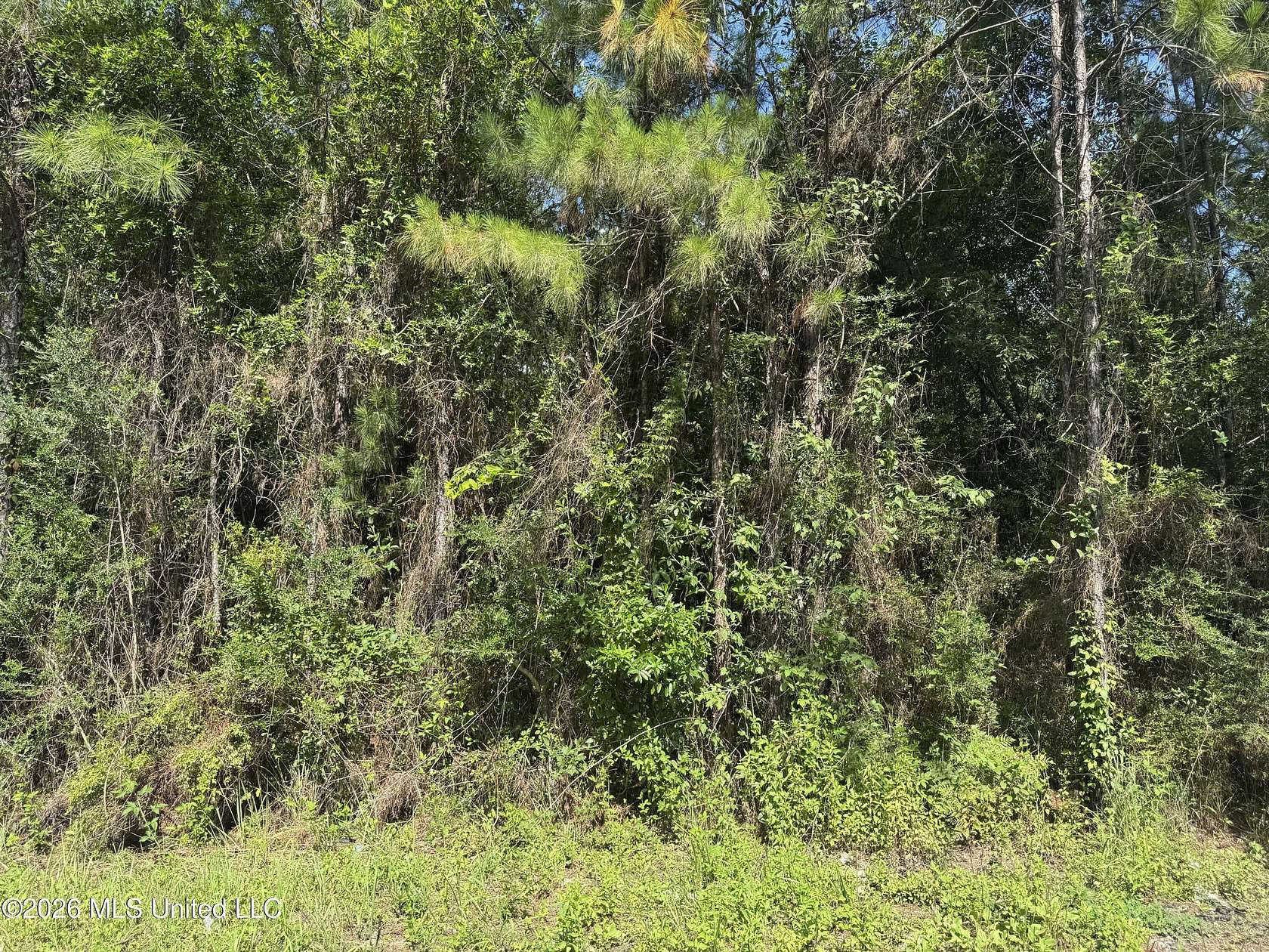 0.82 Acres of Residential Land for Sale in Saucier, Mississippi