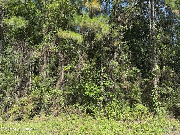 0.82 Acres of Residential Land for Sale in Saucier, Mississippi