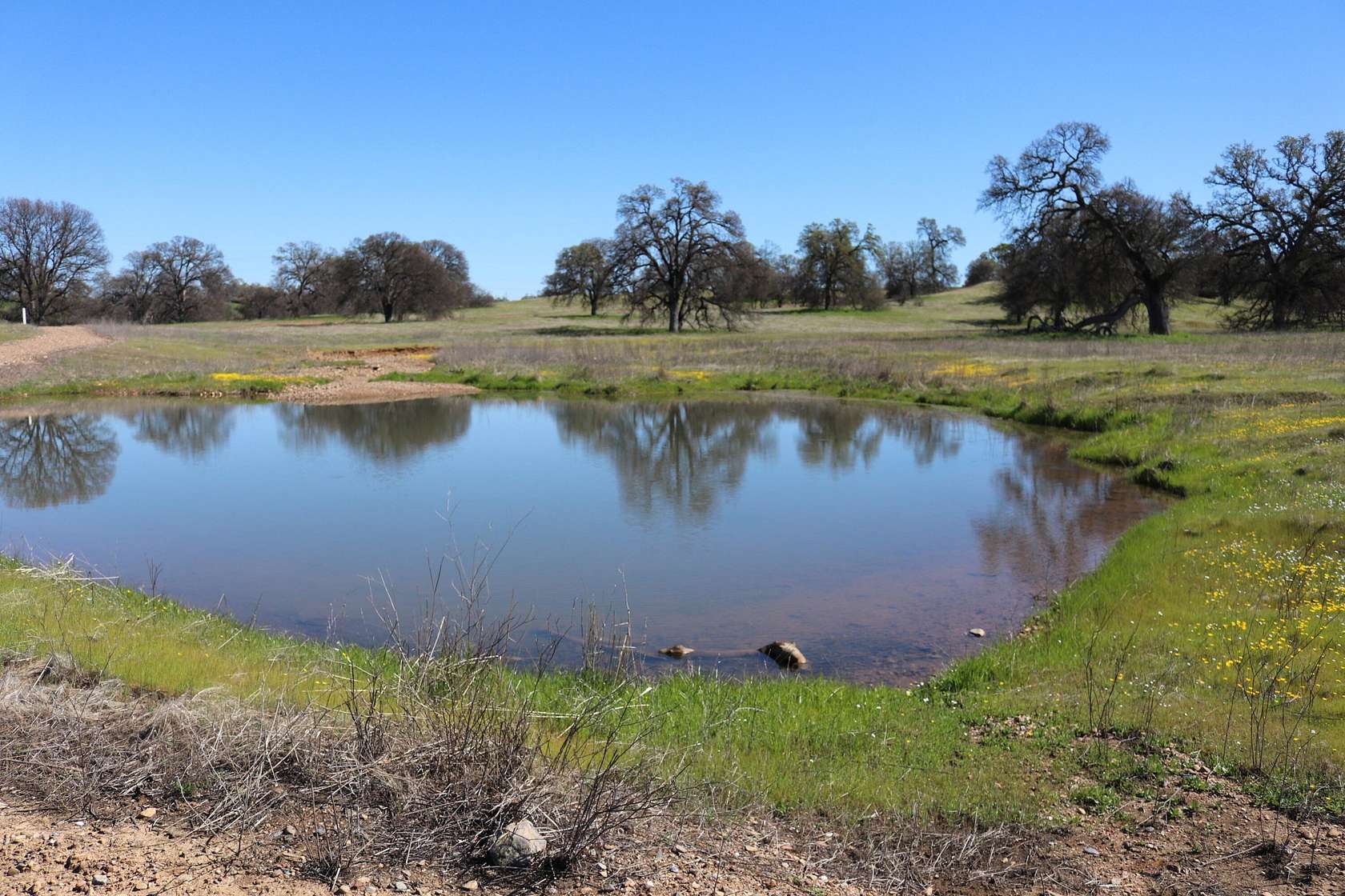 13.5 Acres of Land for Sale in Cottonwood, California