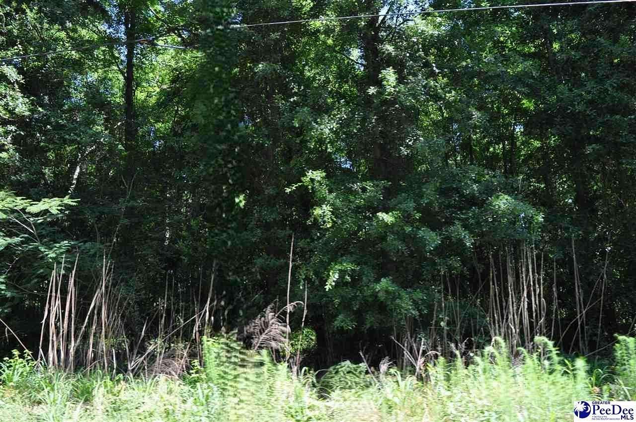 0.87 Acres of Residential Land for Sale in Clio, South Carolina