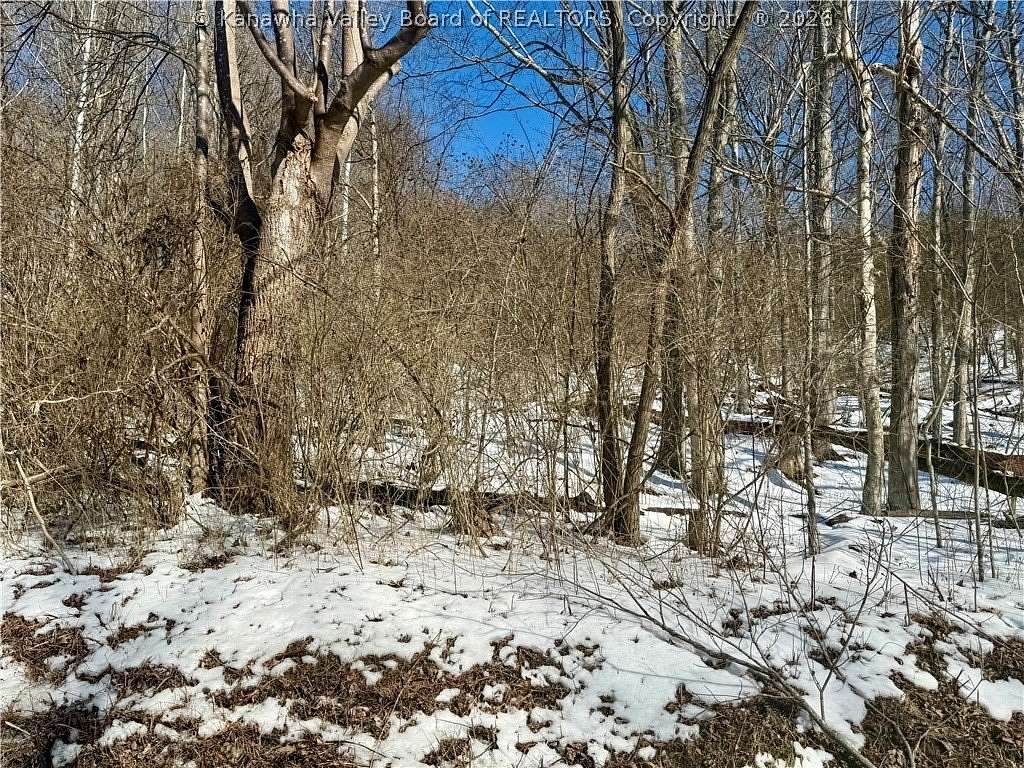 77.5 Acres of Recreational Land for Sale in Elizabeth, West Virginia