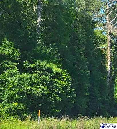 0.66 Acres of Residential Land for Sale in Clio, South Carolina