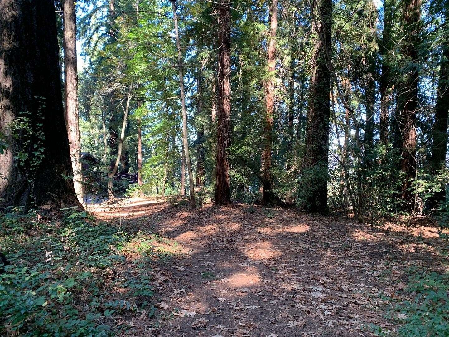 0.27 Acres of Residential Land for Sale in Los Gatos, California