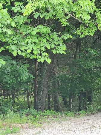 0.24 Acres of Land for Sale in Linn Valley, Kansas