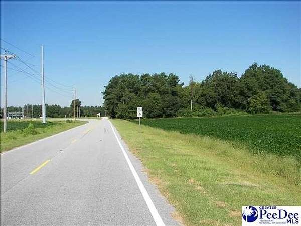 133 Acres of Land for Sale in Bennettsville, South Carolina