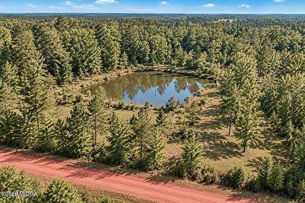 48.5 Acres of Recreational Land for Sale in Hillsboro, Georgia