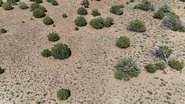 1.18 Acres of Residential Land for Sale in Snowflake, Arizona