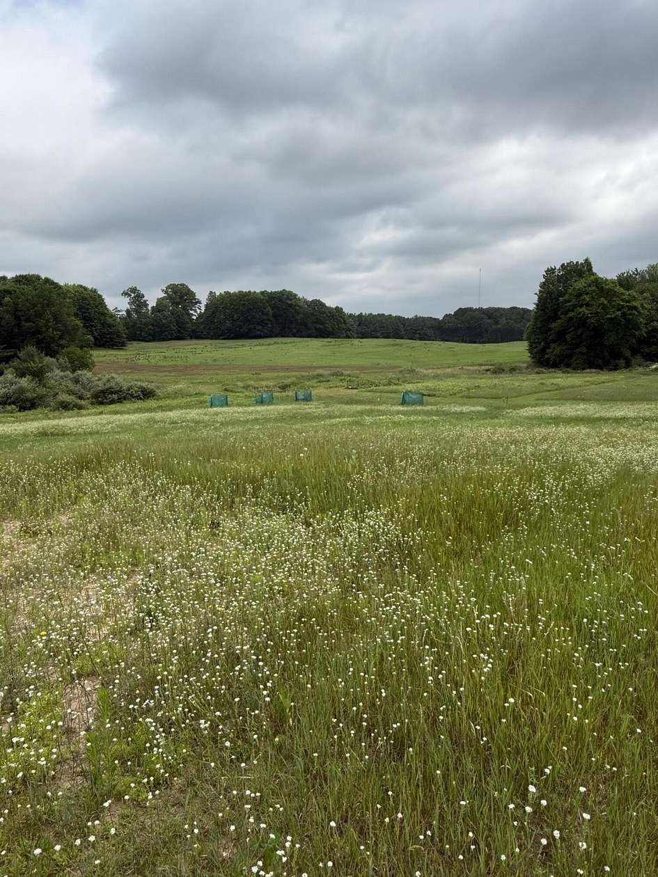 5.6 Acres of Residential Land for Sale in Fountain, Michigan