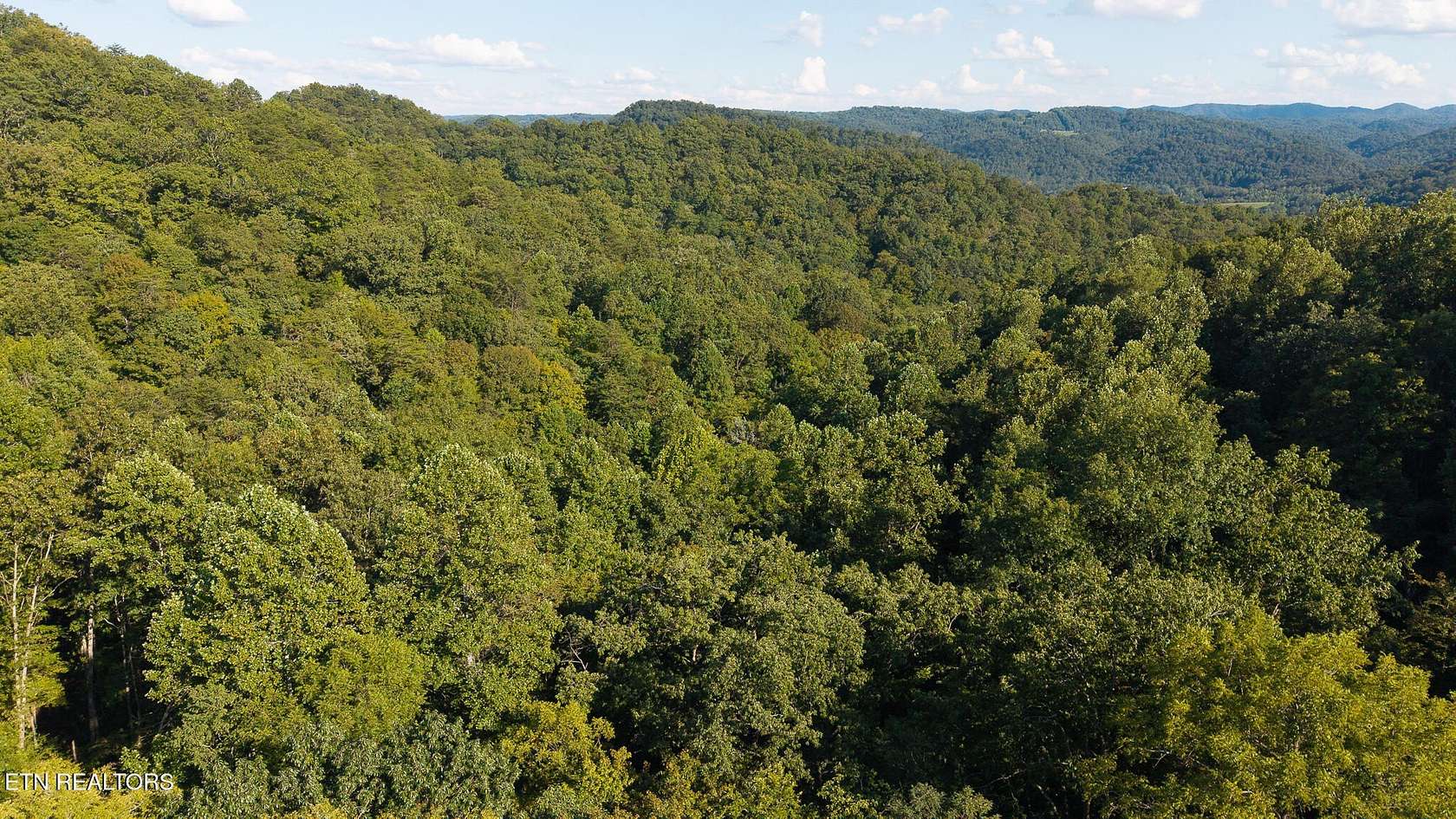 32.4 Acres of Land for Sale in Sneedville, Tennessee