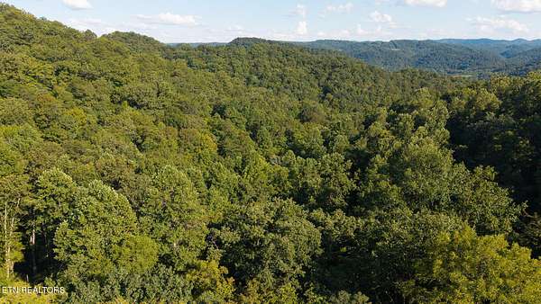 32.4 Acres of Land for Sale in Sneedville, Tennessee