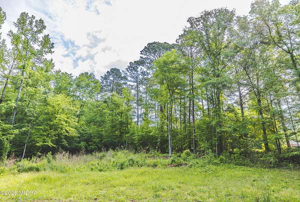 1 Acre of Residential Land for Sale in Macon, Georgia