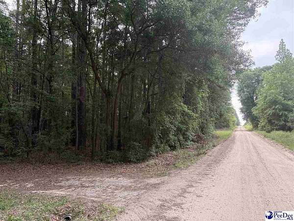 12 Acres of Land for Sale in Darlington, South Carolina