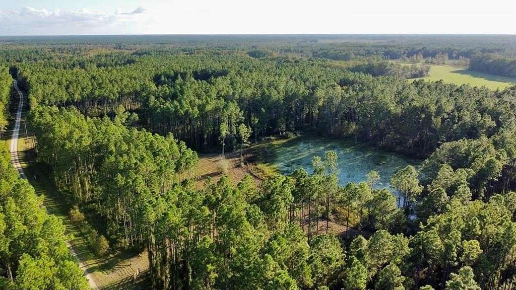 24.6 Acres of Recreational & Residential Land for Sale in Chiefland, Florida