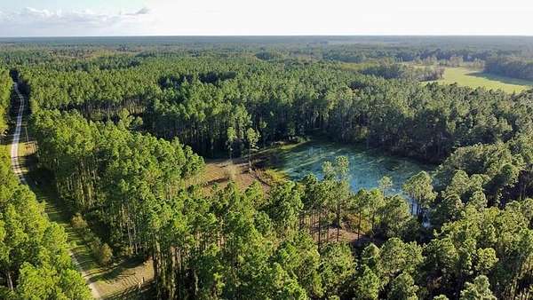 24.6 Acres of Recreational & Residential Land for Sale in Chiefland, Florida