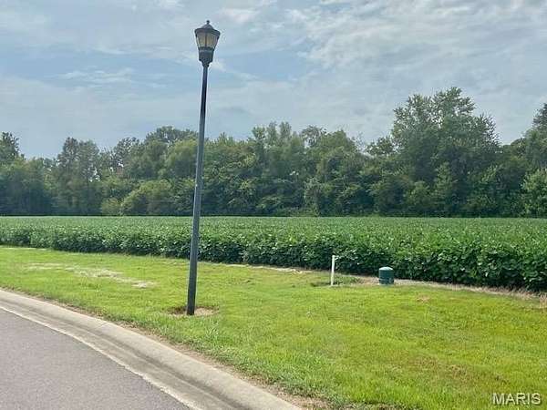 10.5 Acres of Land for Sale in Dexter, Missouri