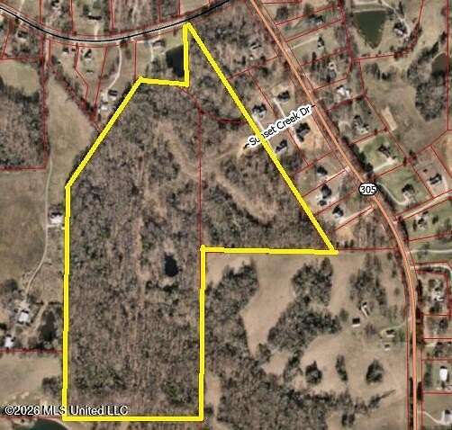 65.4 Acres of Recreational & Residential Land for Sale in Hernando, Mississippi