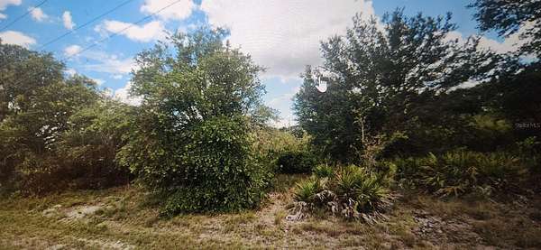 0.25 Acres of Residential Land for Sale in Lehigh Acres, Florida
