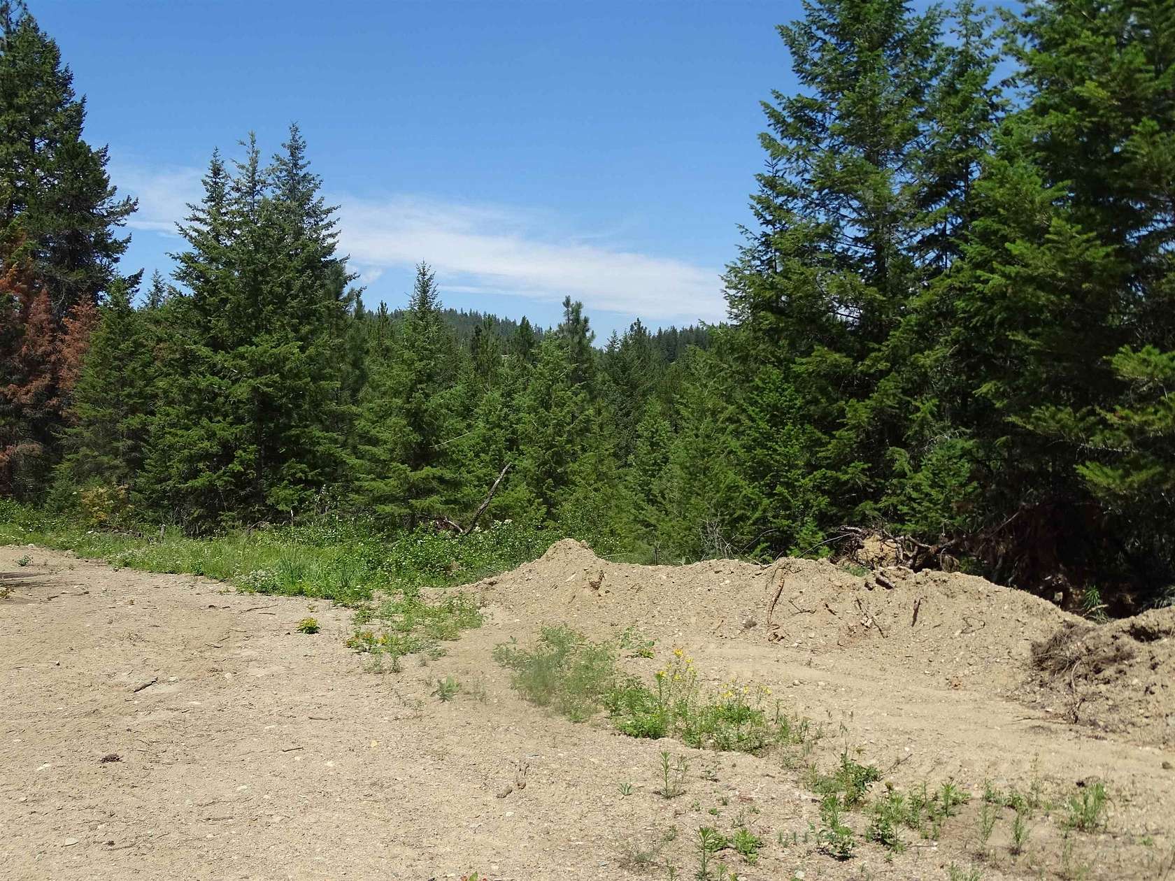 3.5 Acres of Land for Sale in Loon Lake, Washington