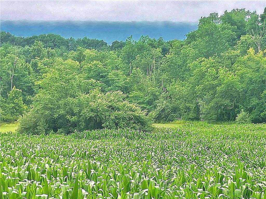 1 Acre of Residential Land for Sale in New Tripoli, Pennsylvania