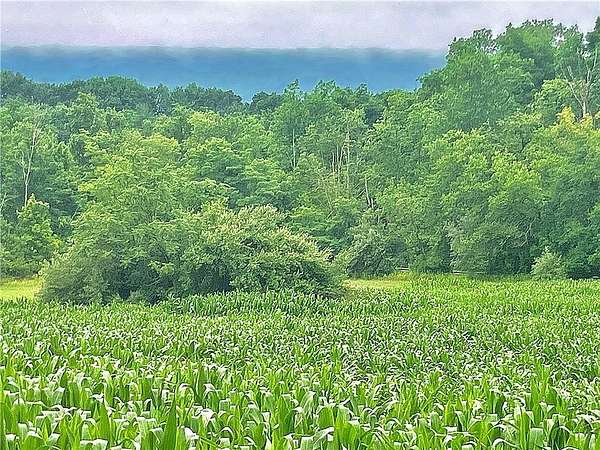 1 Acre of Residential Land for Sale in New Tripoli, Pennsylvania