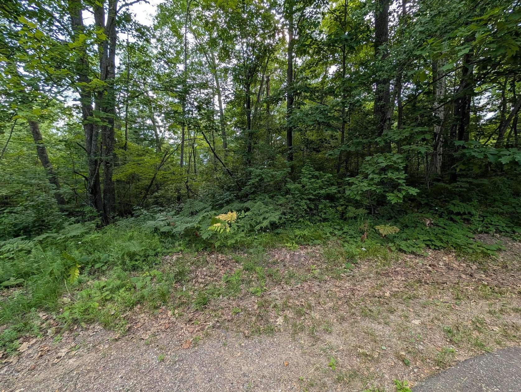 1.79 Acres of Residential Land for Sale in Hazelhurst, Wisconsin