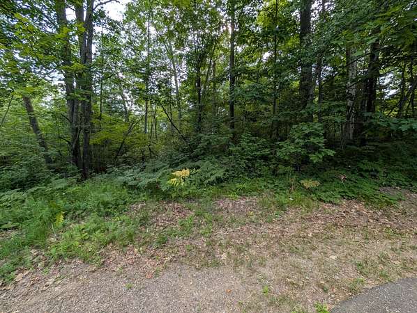1.79 Acres of Residential Land for Sale in Hazelhurst, Wisconsin
