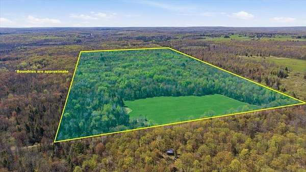81.3 Acres of Land for Sale in Ogema, Wisconsin